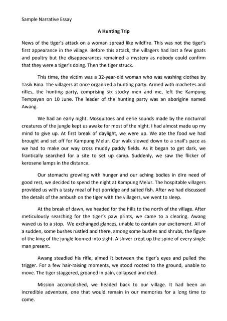 Image result for Narrative Samples