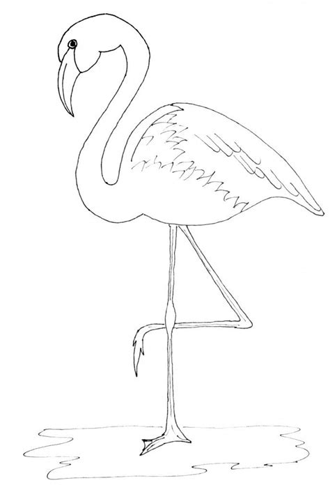 flamingo drawing template