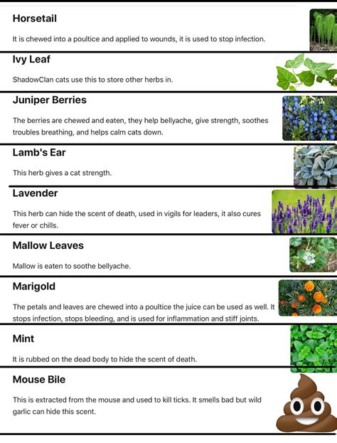Medicine Cat Herb Guide at Douglas Wilder blog