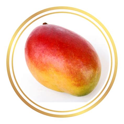 Image result for Dwarf Mango Tree Care