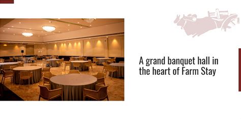 Farm Stay | A Farm Concept Resort