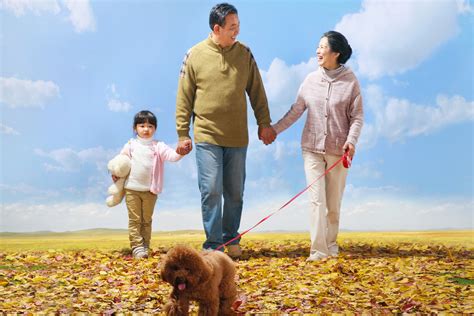 Cleaning Dog Pee With Bleach at Marilyn Sylvester blog