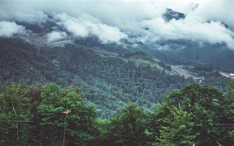 The Kashmir Of Odisha: Daringbadi | WhatsHot Kolkata