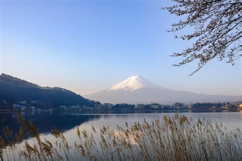 Japan Fuji 的图像结果
