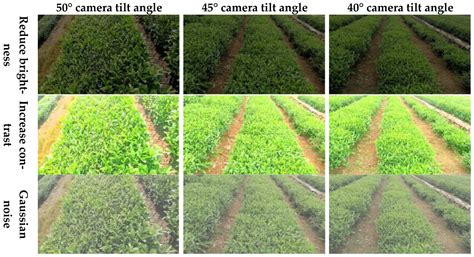 Tea Harvest Robot Navigation Path Generation Algorithm Based on ...
