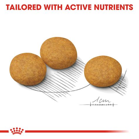 Medium Dermacomfort | Royal Canin IN