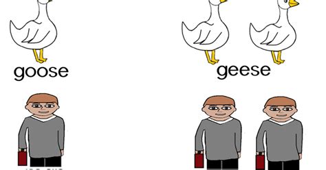 Reading2success: Irregular Plural Nouns: mice-mouse and calf-calves