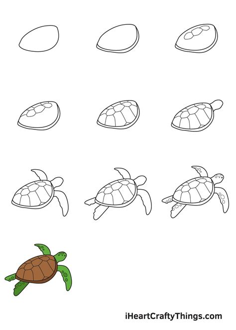 Image result for Turtle Drawing Tutorial