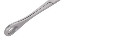GOLDEN SCISSOR Stainless Steel Sponge Holder | Holding Forceps 8 Inch ...