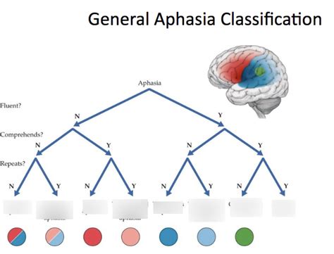 Image result for Types of Aphasia Examples