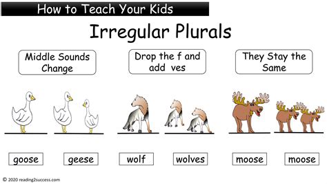 Teaching irregular plurals | PDF