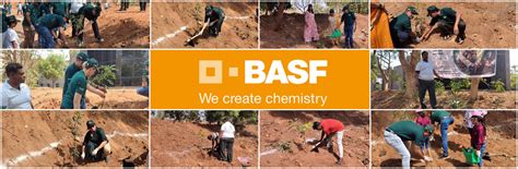 Forest by BASF – Grow Billion Trees