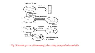 Library Screening 的图像结果