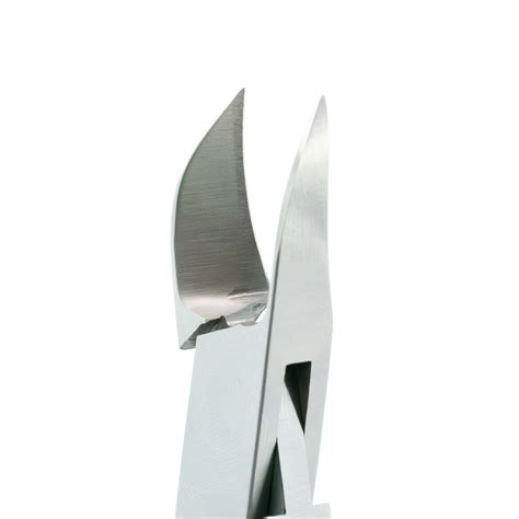 Image result for Concave Spring