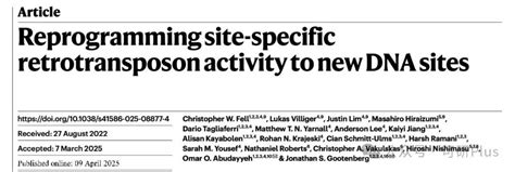 Stichmethod Channel 的图像结果