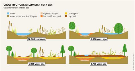 Succow Stiftung | Peatland Atlas