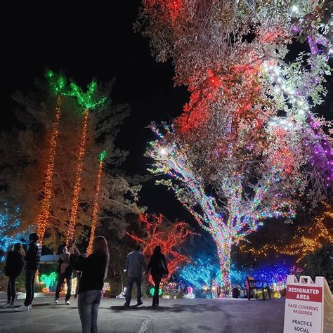 How Long Does It Take To Walk Through Phoenix Zoo Lights at Johanna ...