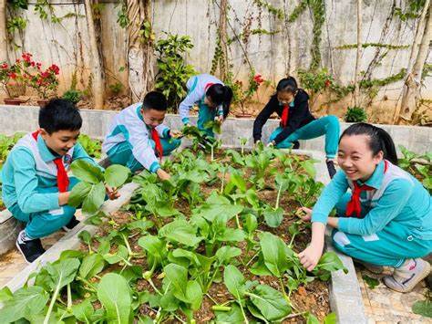 小学生自己动手制作美食教学