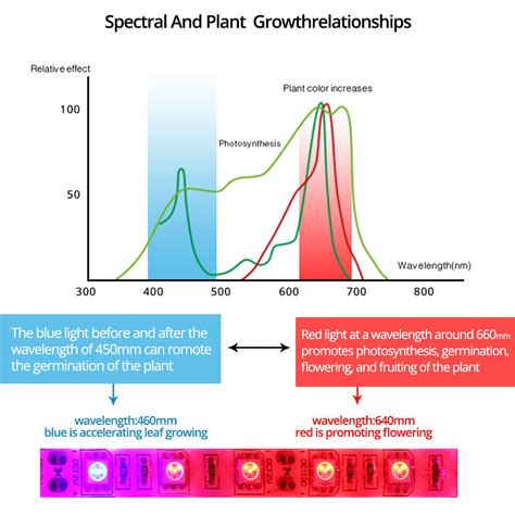 Image result for LED Grow Light Spectrum