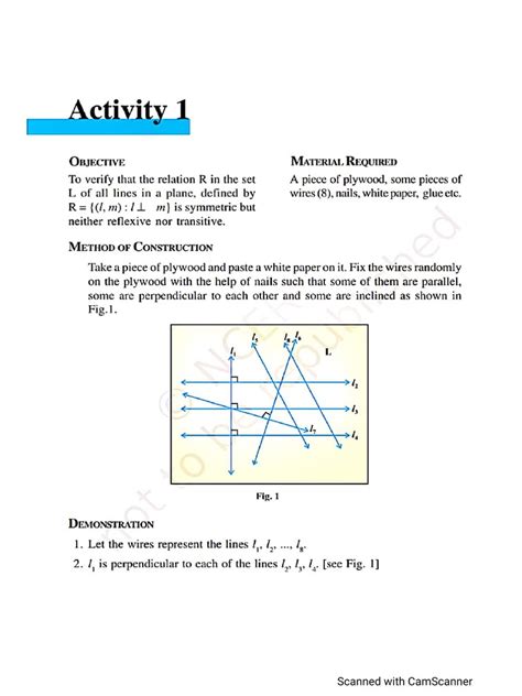 Maths Activity Class 12 的图像结果