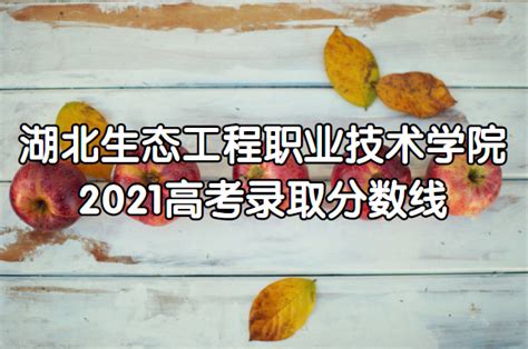 生态环境学院开展综治检查工作-湖北工业职业技术学院生态环境学院