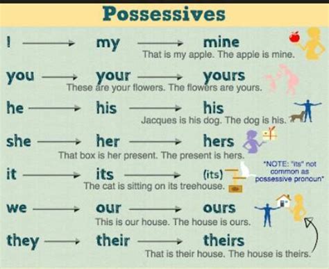 Can anyone give me a list of possessive pronouns? - Brainly.in