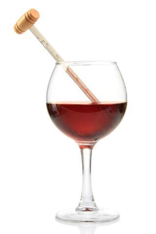 Your Home Bar is Incomplete without a Wine Chiller. Check out the Best ...