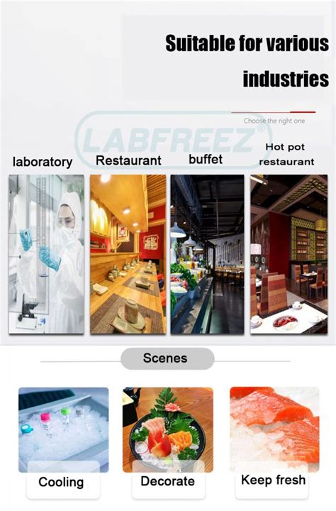 Lab Ice Maker 的图像结果