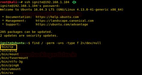 Linux Privilege Escalation using SUID Binaries
