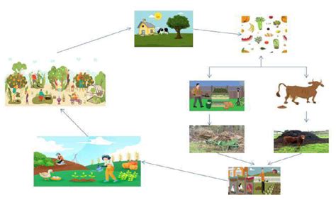Integrated Farming System Models 的图像结果