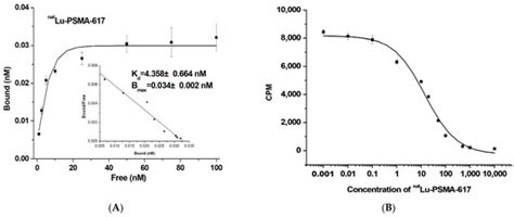 Exploring the Therapeutic Potential of 177Lu-PSMA-617 in a Mouse Model ...