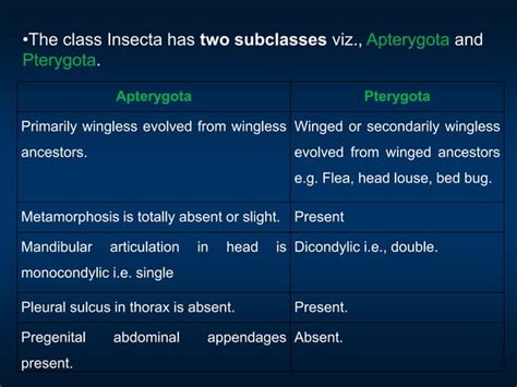 Image result for Class Insecta