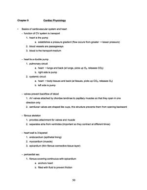 Central Nervous System - Anatomy And Physiology - Studocu