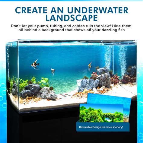 Stunning Background Ideas for Your 125 Gallon Aquarium