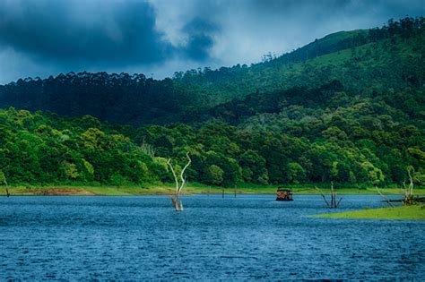 A Budget Friendly Adventure Trip to Thekkady | Peppervine