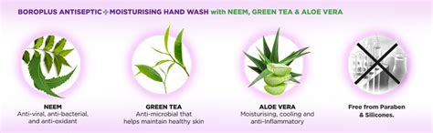 BoroPlus Antiseptic and Moisturising Hand Wash with Neem, Green Tea ...