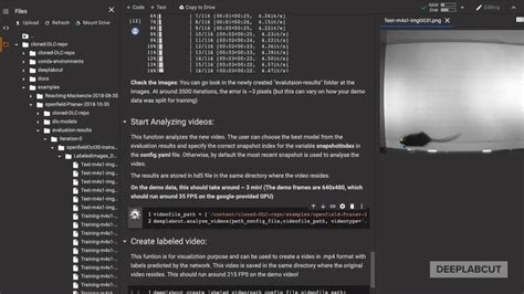 Image result for Deeplabcut Tutorial