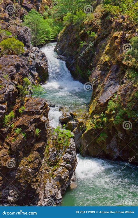 Or-Rogue River Trail-Mule Creek Canyon Stock Image - Image of flowing ...