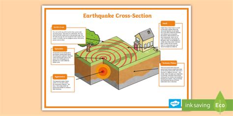 Earthquake Plate Diagram | Earthquake Poster Twinkl