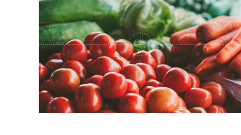 How to Use Behance Create a Project 的图像结果