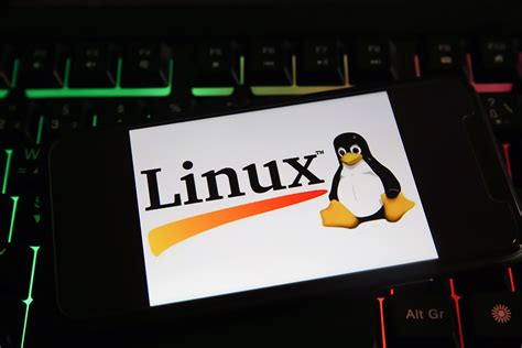Image result for Linux Hacking Terminal Tutorial