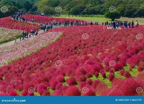 Image result for Pattern Finding with Unsupervised Learning Telecom
