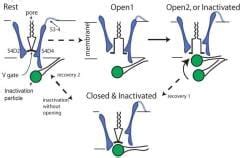 Recent Topics Chapter Notes - NEET PG PDF Download