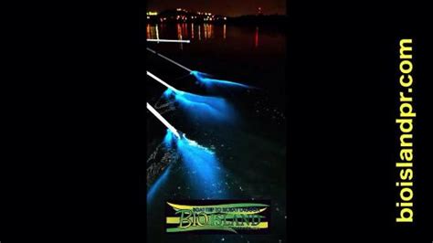 Spectacular Excursion! - Reviews, Photos - BioIsland - Tripadvisor