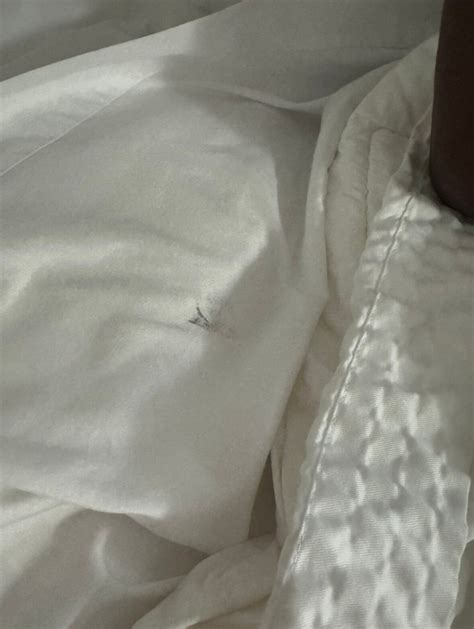 SLEEP INN SARASOTA - Updated 2025 Prices & Hotel Reviews (FL)