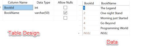 Image result for Database Integration in Microsoft SQL Server and .Net Core