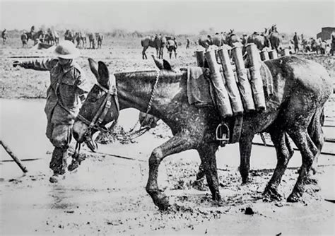 ‘The British Raj had little knowledge — and even less sensitivity ...