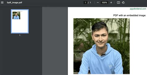 Image result for Python Create PDF