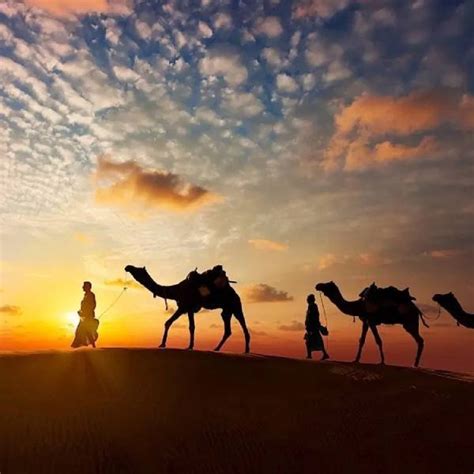 Private Full-Day Tour Of Ajmer And Pushkar