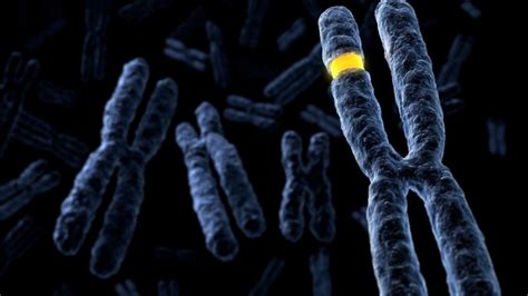 Applied Biosystems | Thermo Fisher Scientific - IN